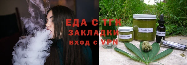 индика Струнино