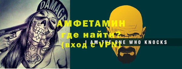 индика Дегтярск