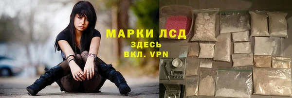 эйфоретик Строитель