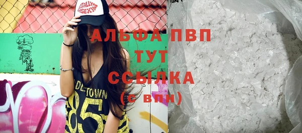индика Струнино