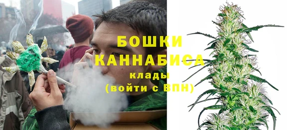 индика Струнино