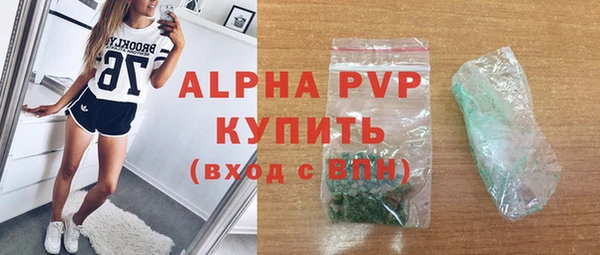 индика Дегтярск