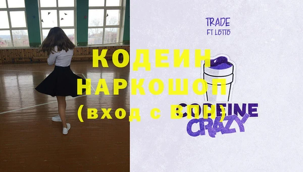 индика Струнино