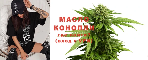 индика Струнино
